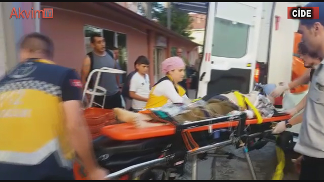 Feci Kaza Kavak Ağacına Tırmanan Yaşlı Adam Dengesini Kaybederek Yere Çakıldı