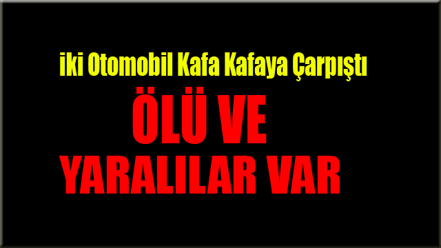 Yoldan Çıkan Otomobil, Ormanlık Alana Uçtu: 1 Ölü, 2 Yaralı