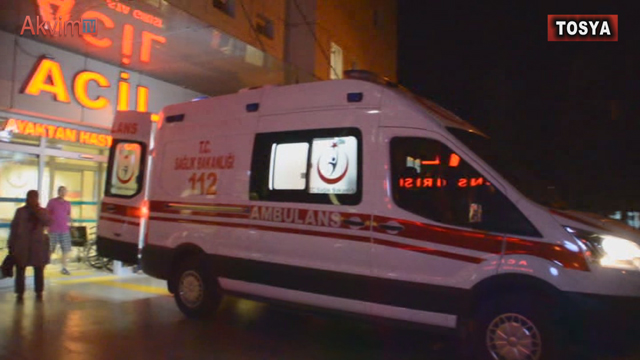 Arıların Saldırısına Uğrayan Yaşlı Çift Hastanelik Oldu