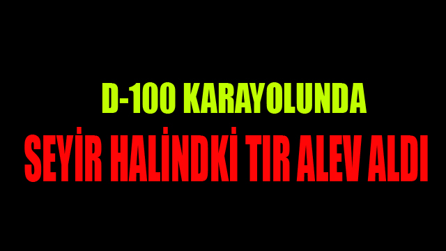 Seyir Halindeki Tır Alev Alev Yandı